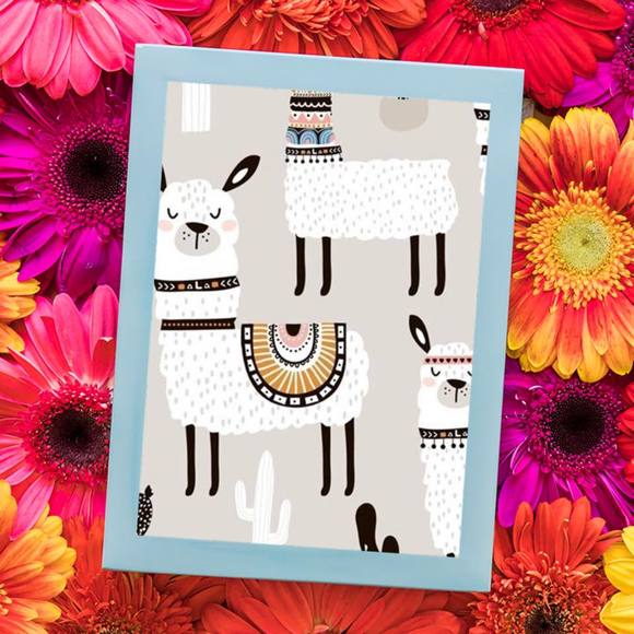 Meet your Posher, Guadalupe - Picture 1 of 1